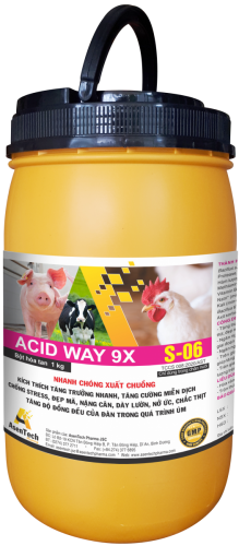 ACID WAY 9X