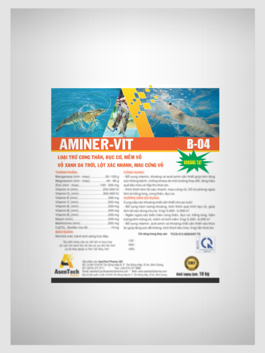 AMINER - VIT