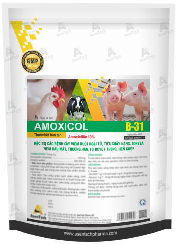 AMOXICOL 10 