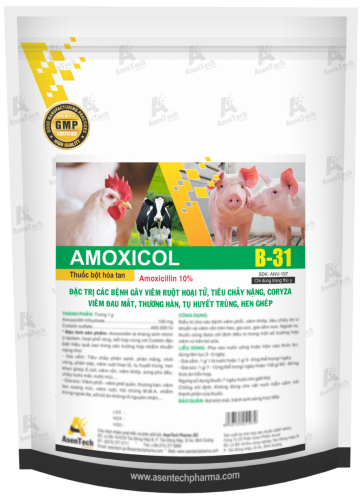 AMOXICOL 10