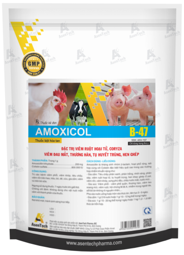 AMOXICOL 20