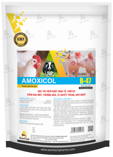 AMOXICOL 20