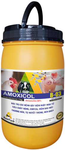 AMOXICOL 60