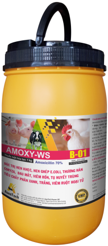 AMOXY - WS