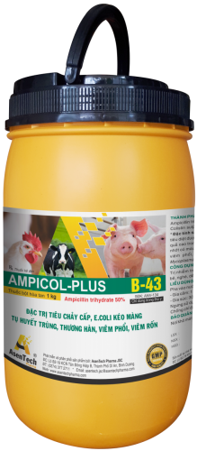 AMPICOL - PLUS 50
