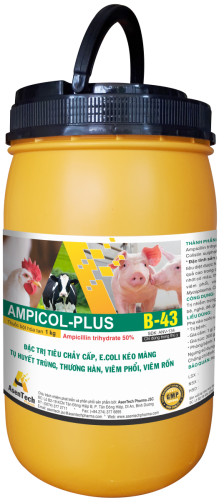 AMPICOL-PLUS 50