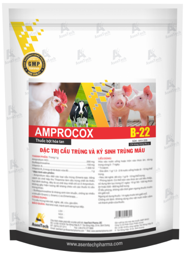 AMPROCOX