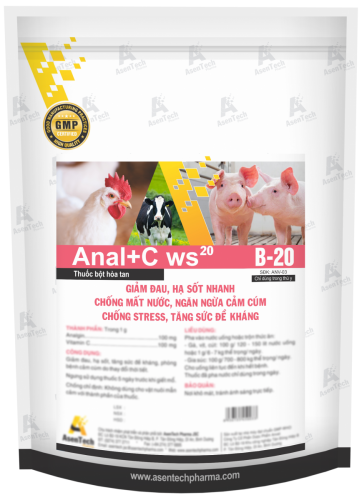 ANAL+C WS 20