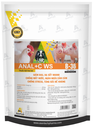 ANAL+C WS 6