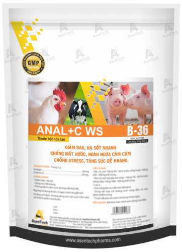 ANAL+C WS 6