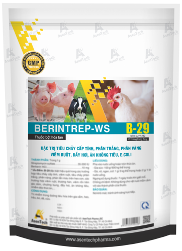 BERINTREP-WS