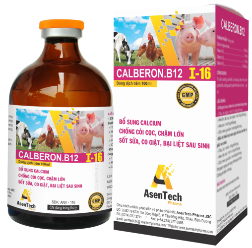 CALBERON.B12