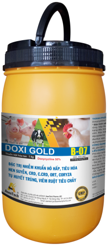 DOXI GOLD