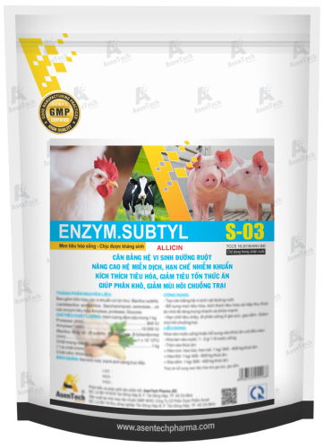 ENZYM.SUBTYL