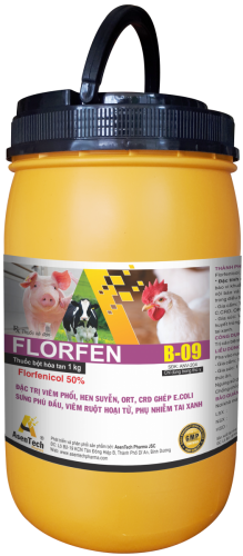 FLORFEN 50
