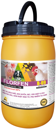 FLORFEN 50