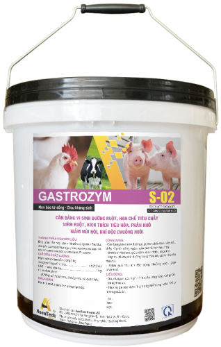 GASTROZYM