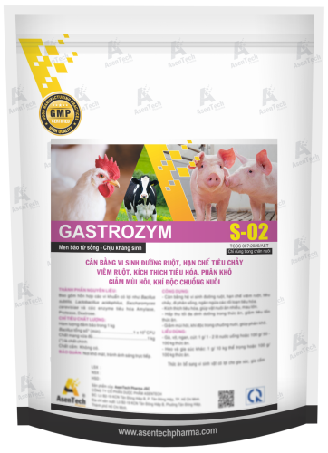 GASTROZYM