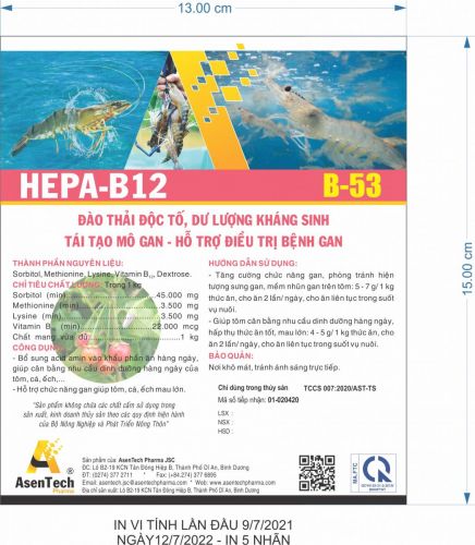 HEPA - B12