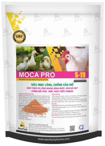 MOCA PRO