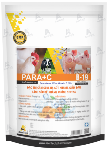 PARA+C 40