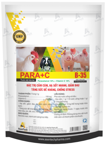 PARA+C 20