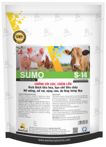 SUMO