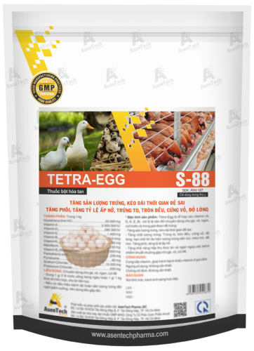 TETRA-EGG NEW