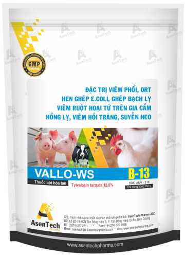 VALLO-WS